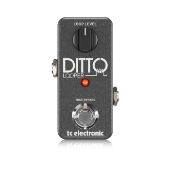 TC Electronic Ditto Looper Pedal | Amplifiers & Effects | Single Pedals